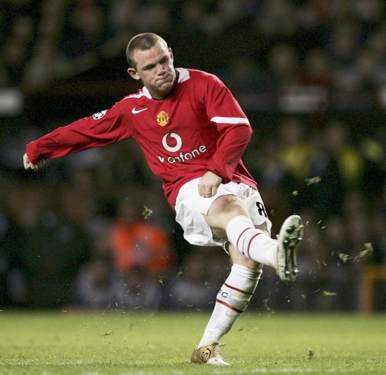 野和精准的 野和精准的